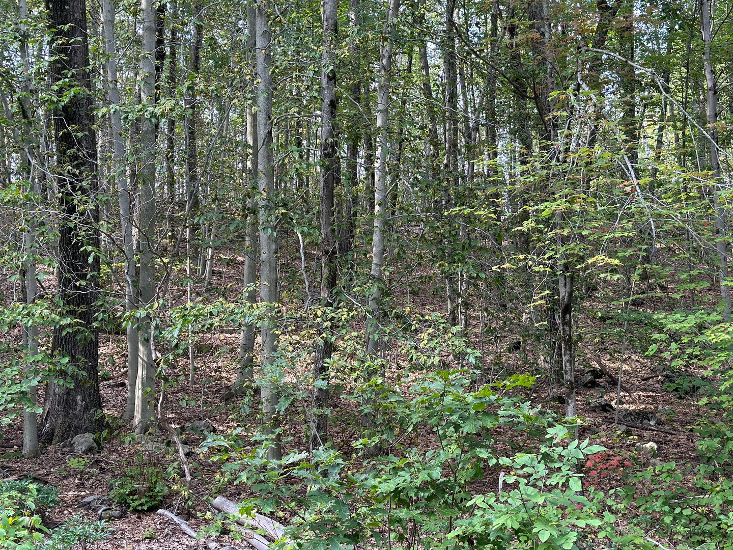 00 Above All Road Photo 2