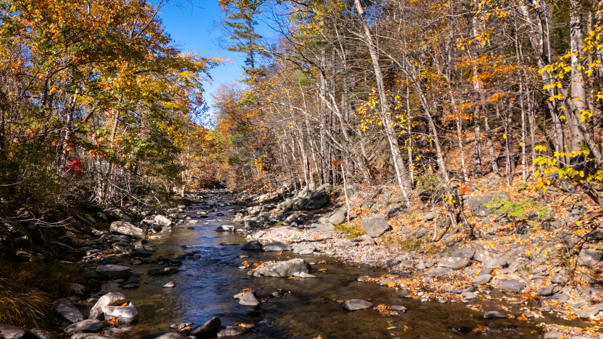 3207-3209 Route 212 Photo 2