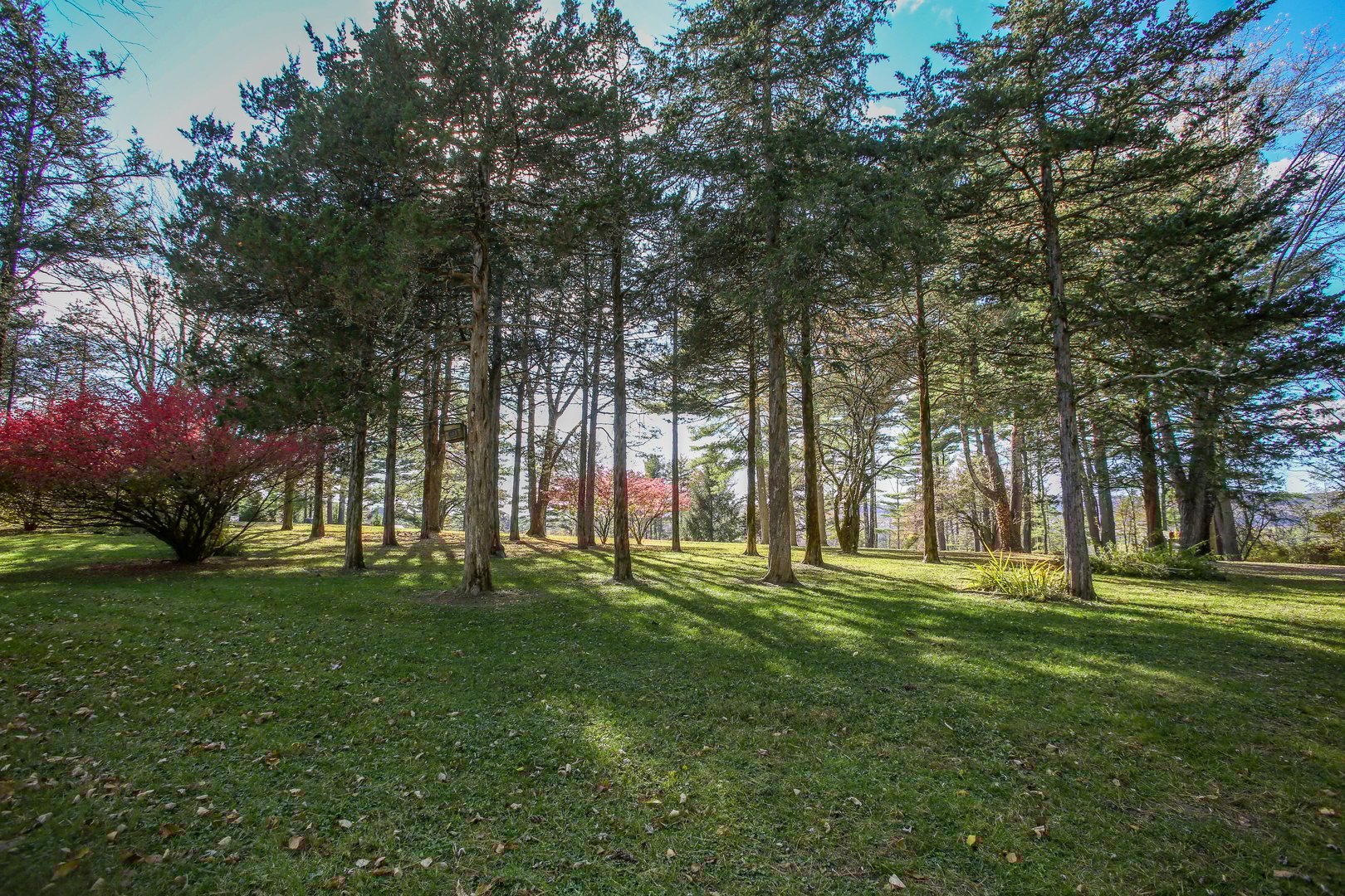 118 Washinee Heights Road Photo 3