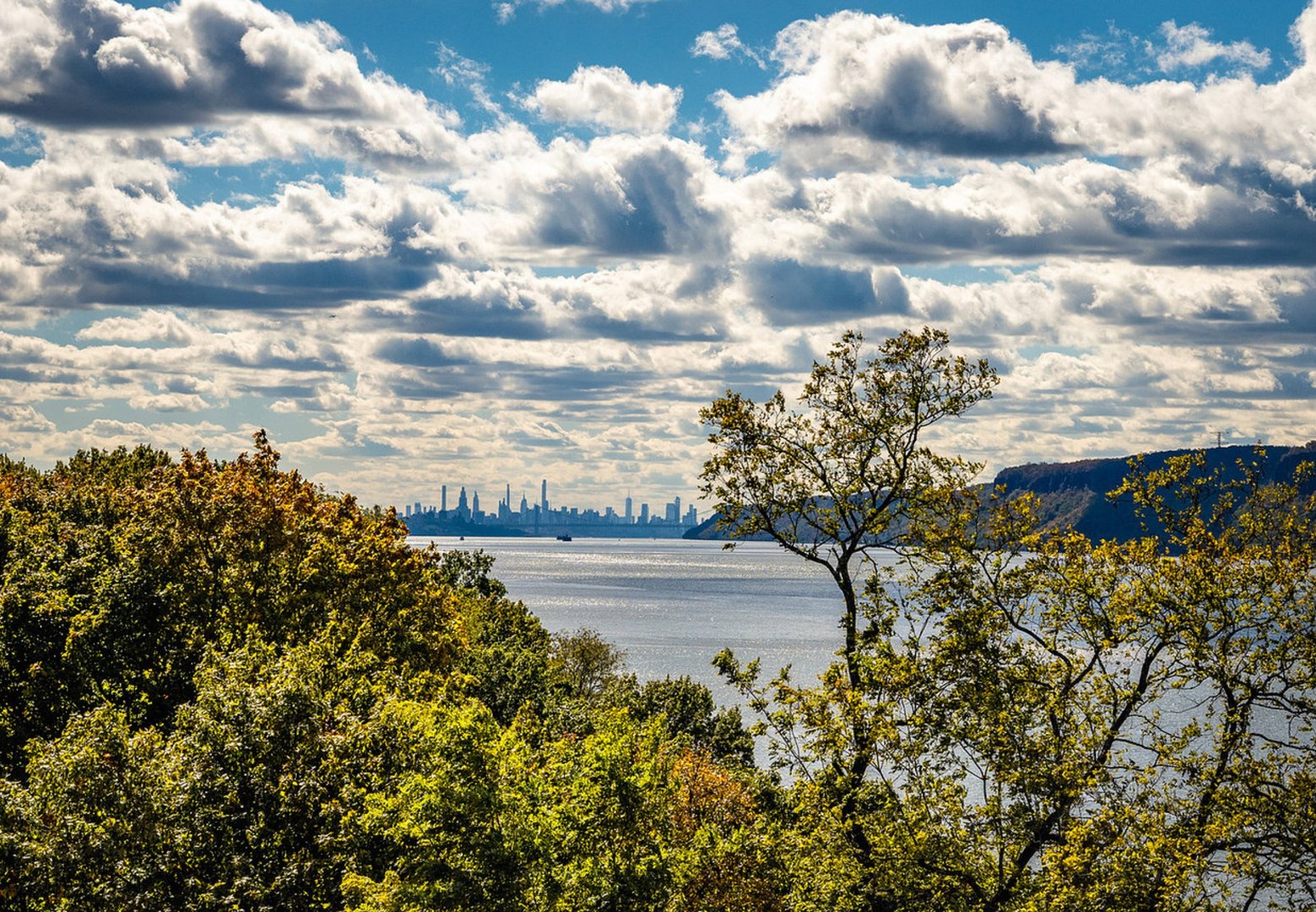 100 W Ardsley Avenue  #7KL Photo 14