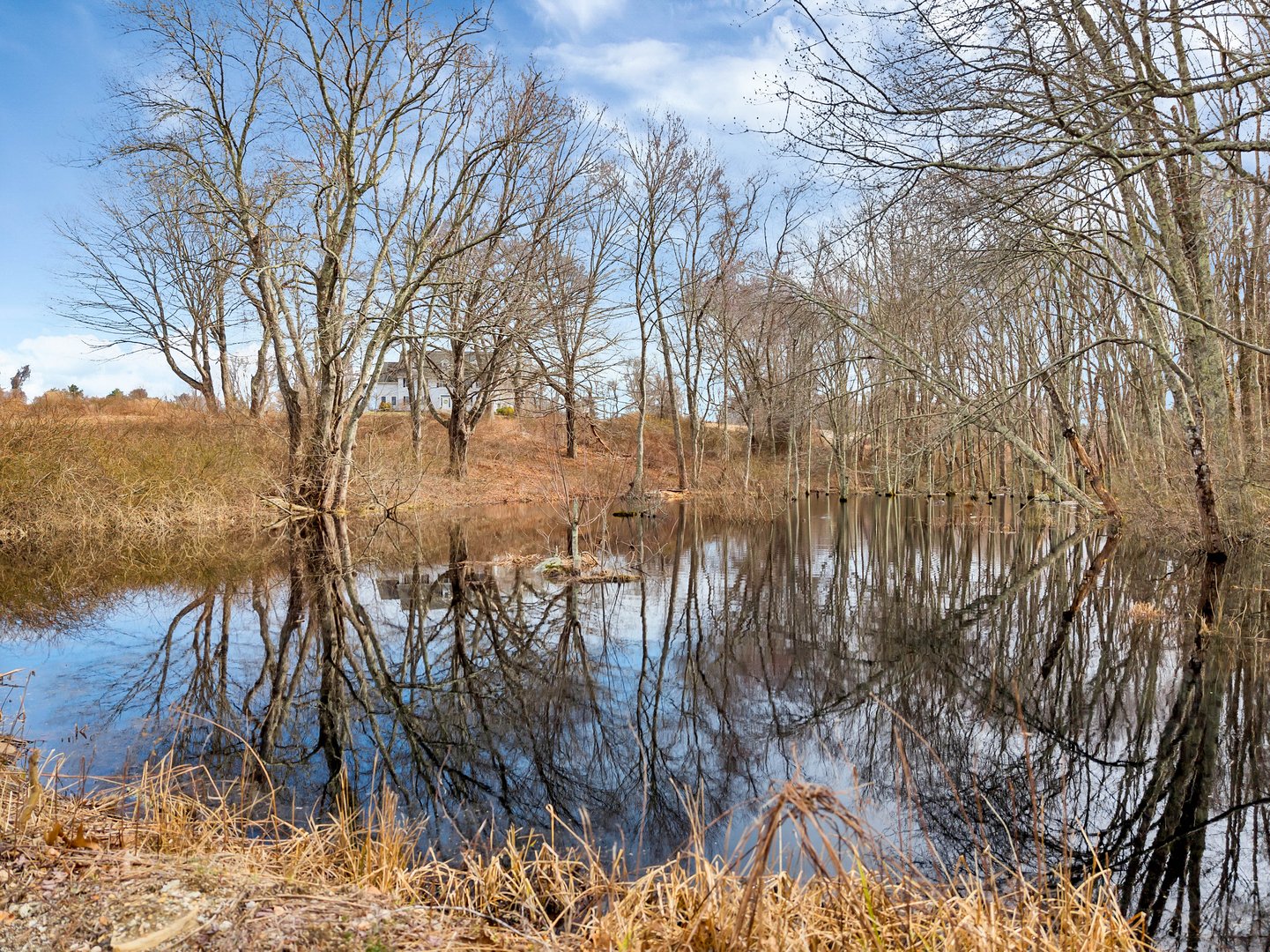 5 Farm Meadow Road Photo 6