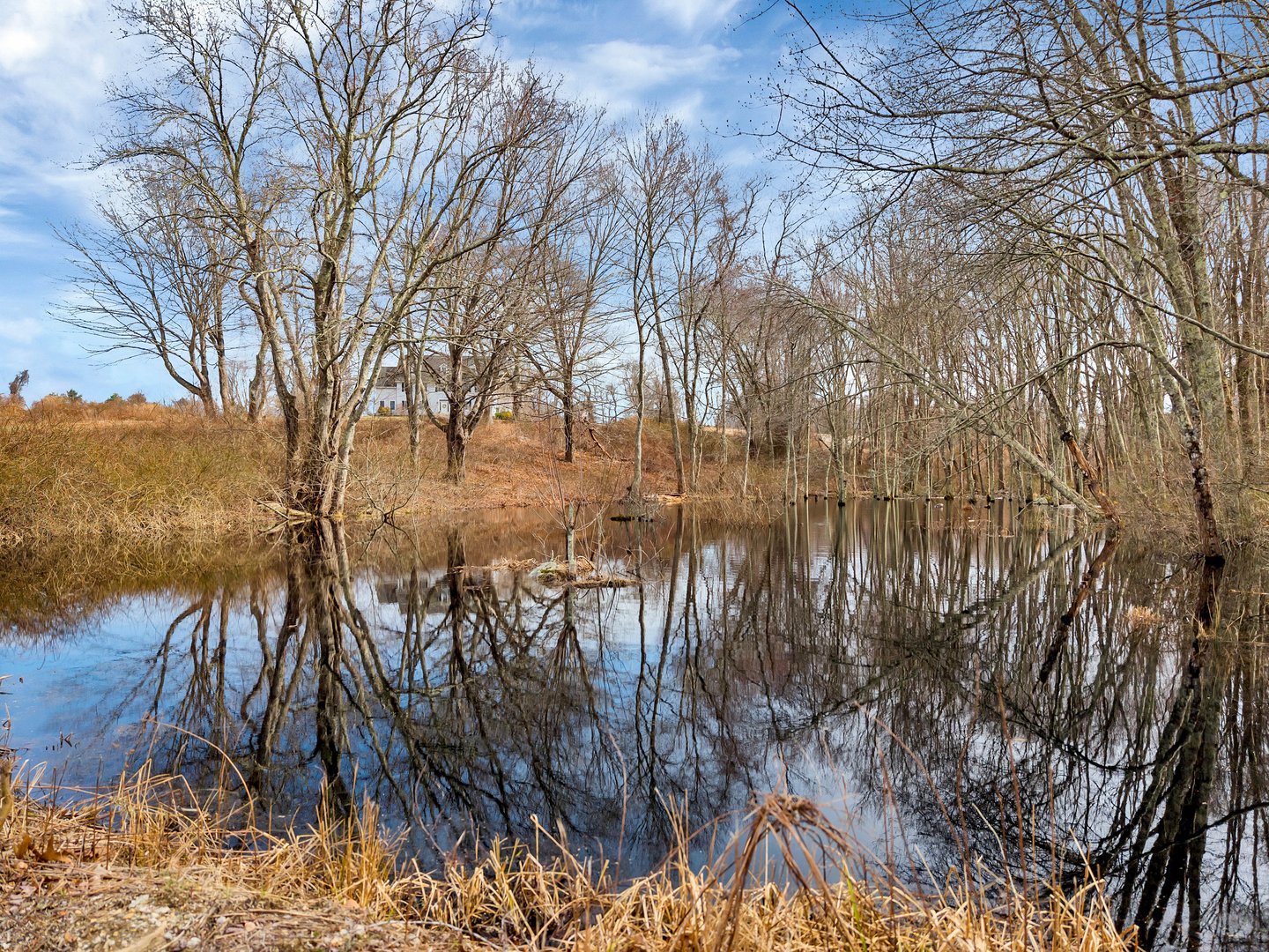 3 Farm Meadow Road Photo 10