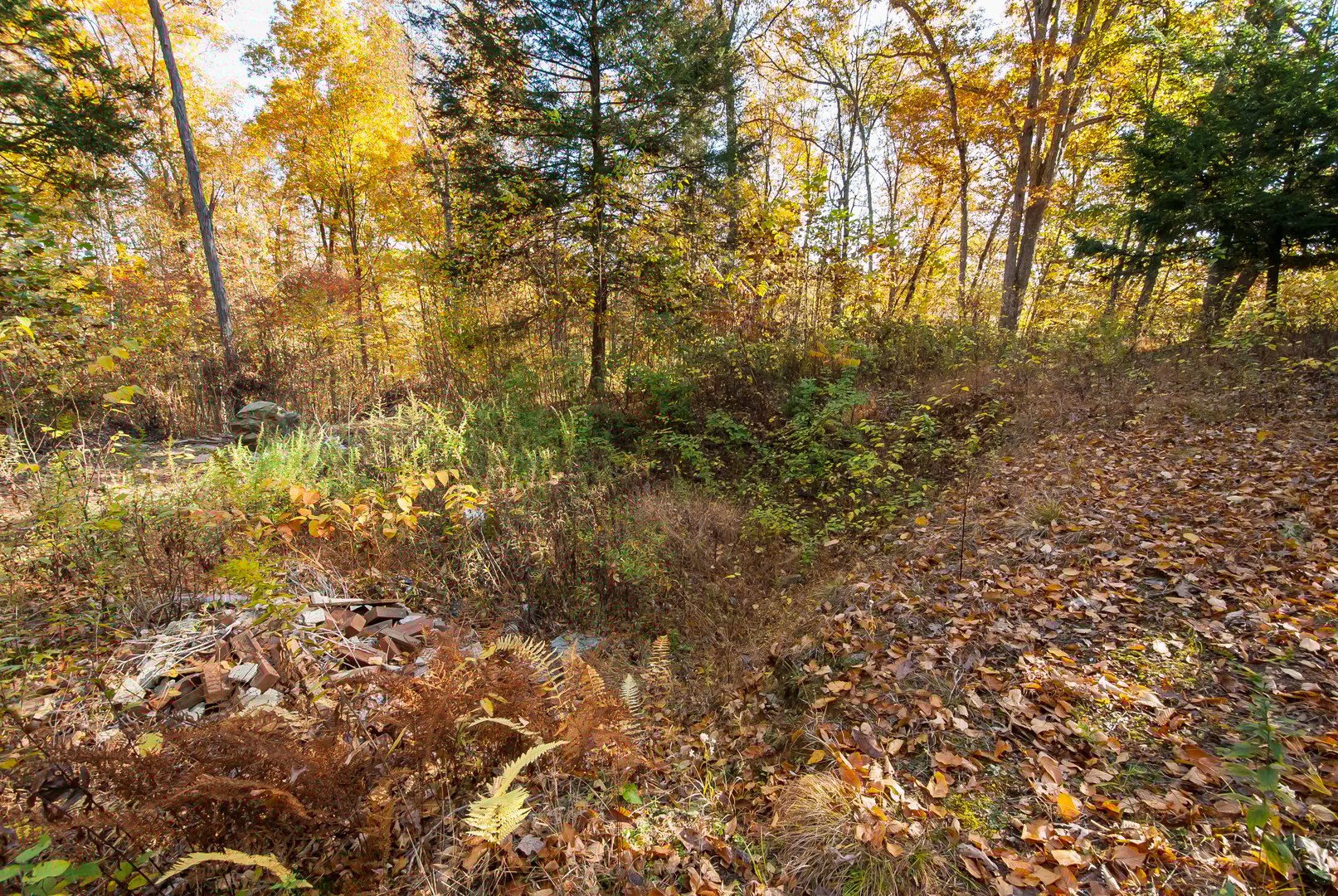 600 Berkshire Road Photo 20