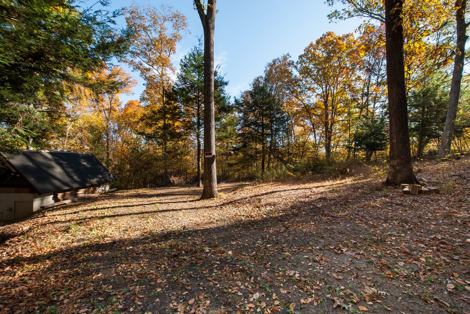 600 Berkshire Road Photo 8