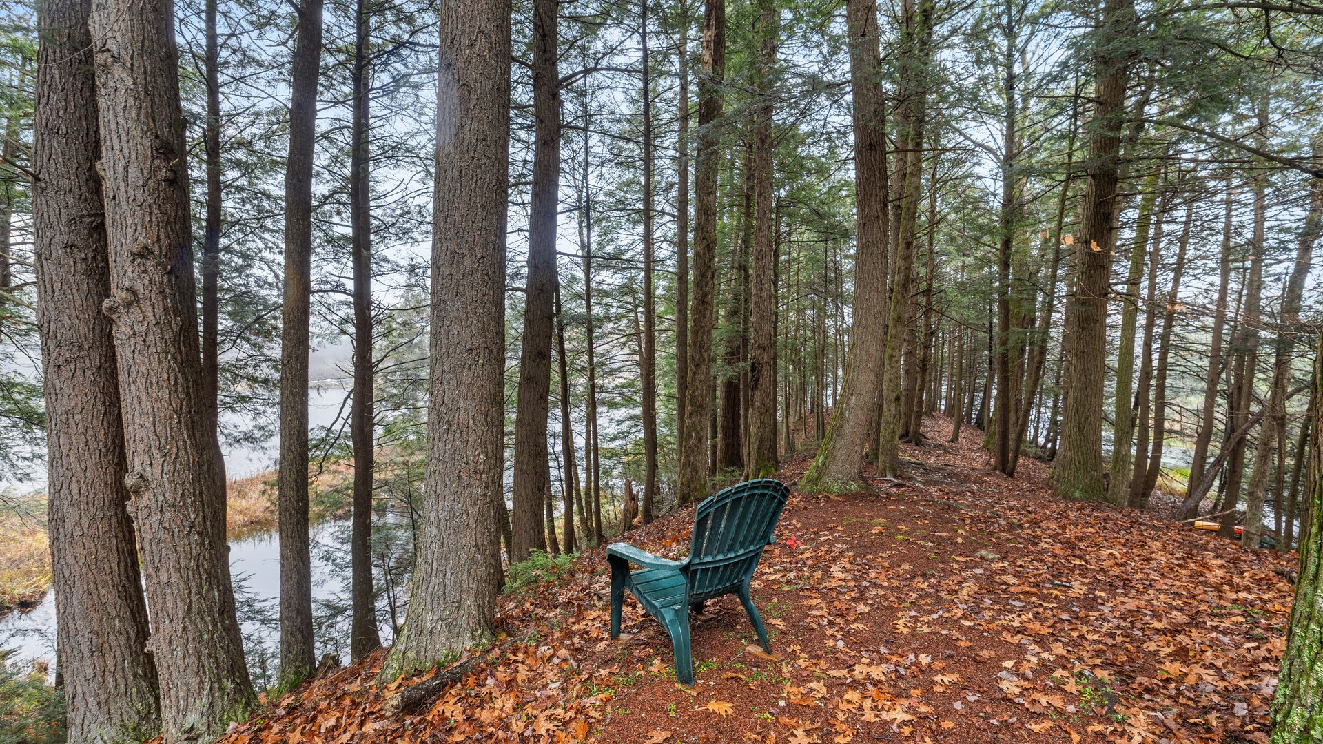 343 Lakeshore Dr Photo 28