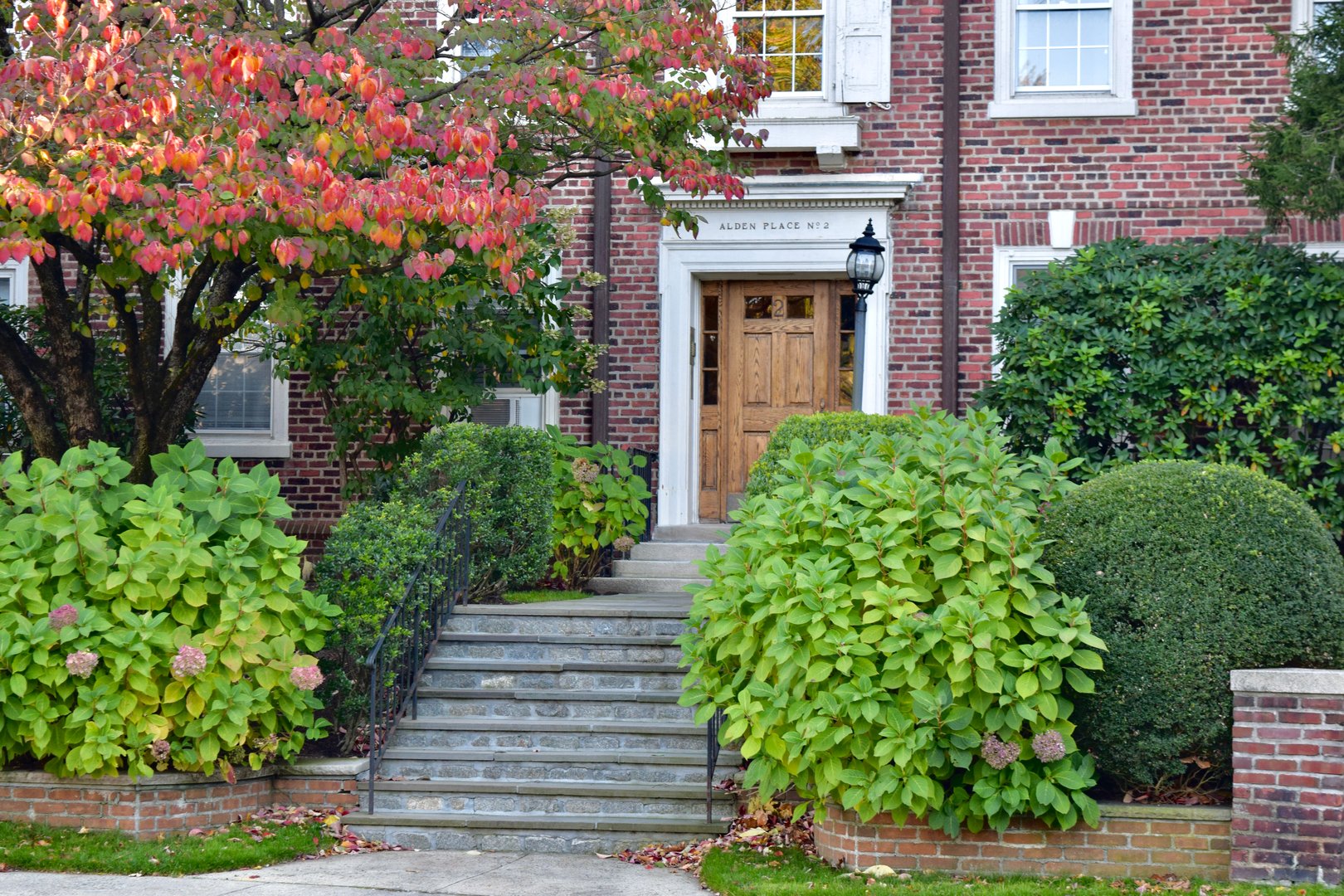 2 Alden Place  #1C Photo 1