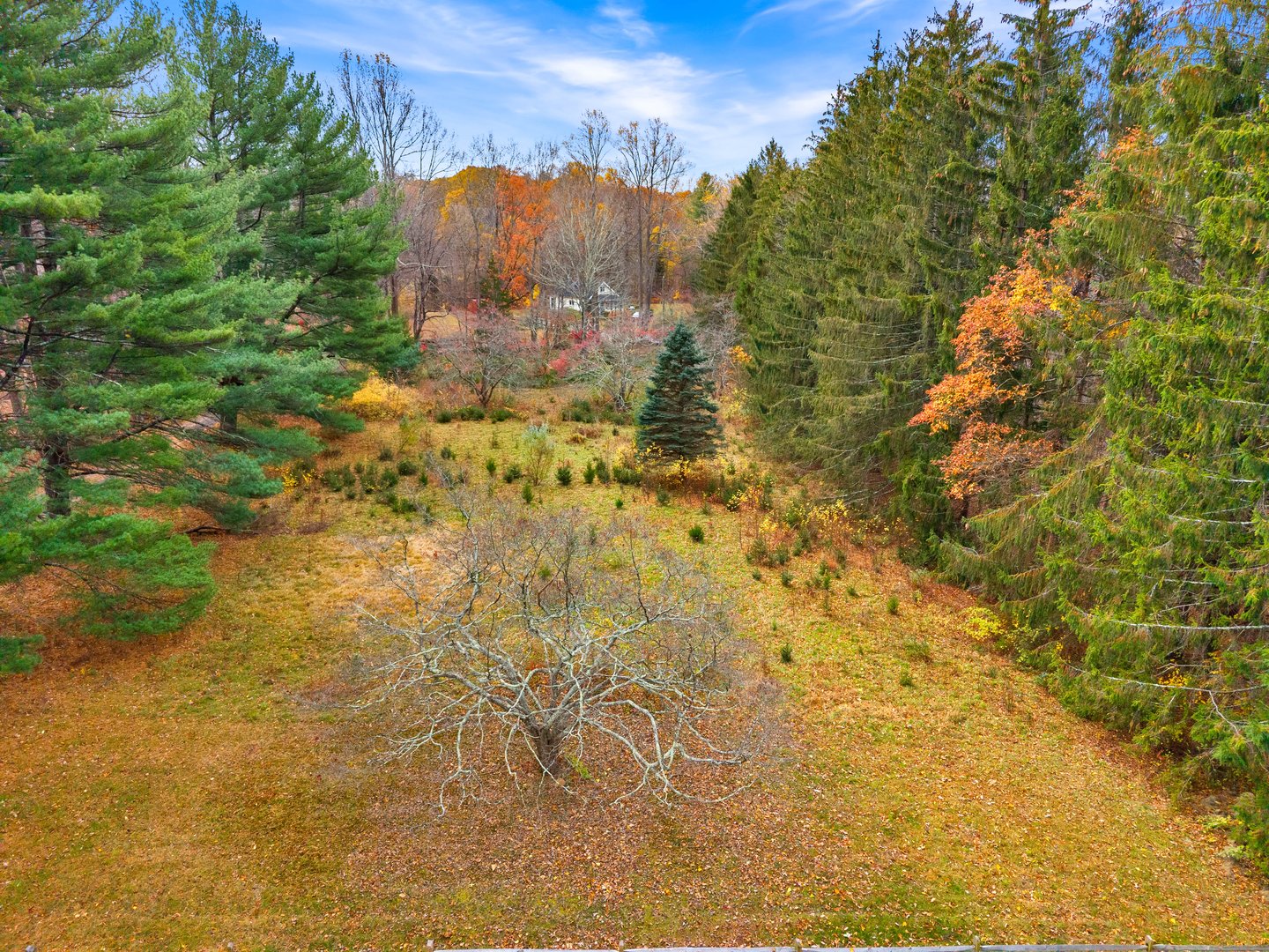 247 C Old Toll Road Photo 4