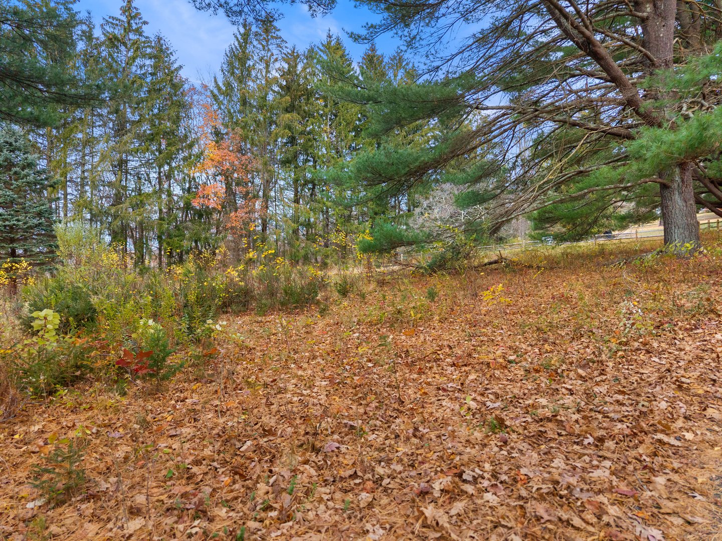 247 C Old Toll Road Photo 7