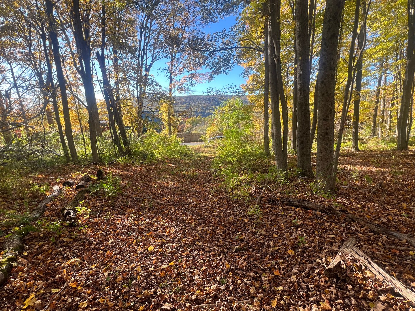 Spooner Hill Road Photo 2