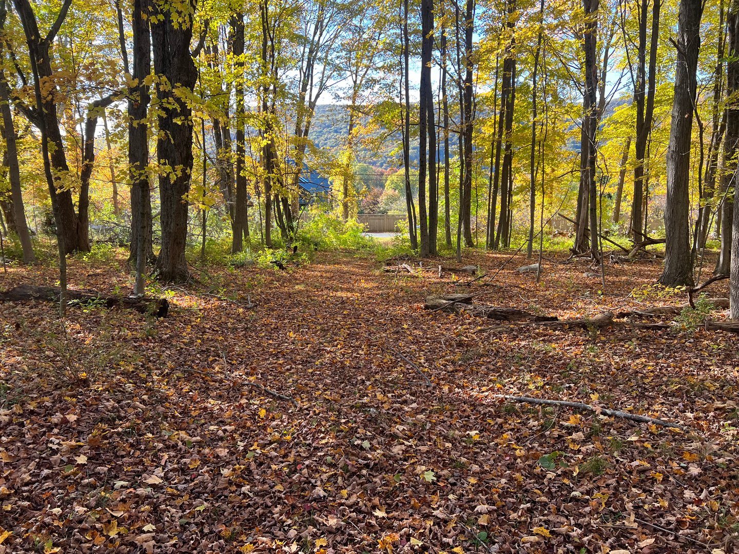 Spooner Hill Road Photo 3