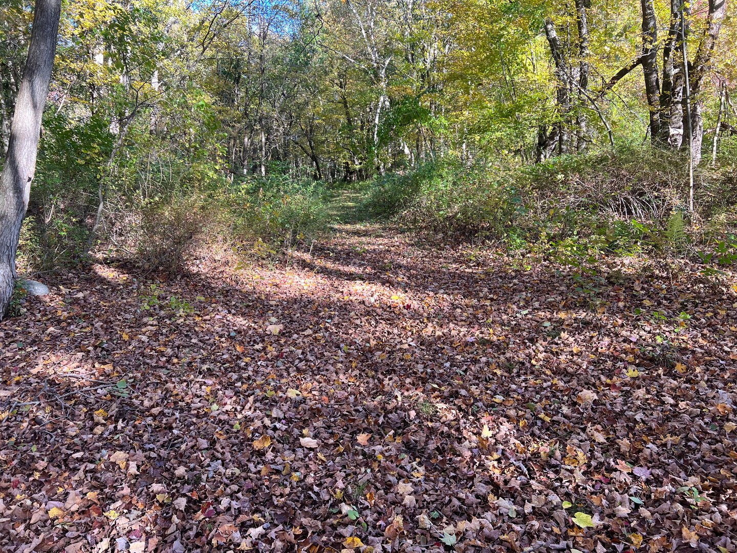 Spooner Hill Road Photo 6