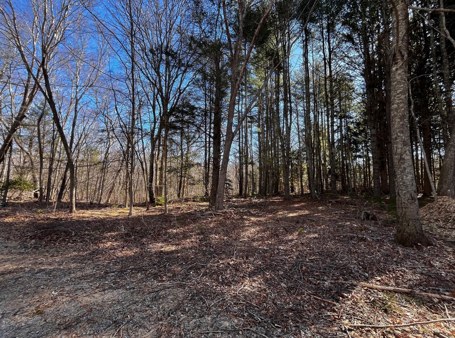 41-1 Whippoorwill Road Photo 1