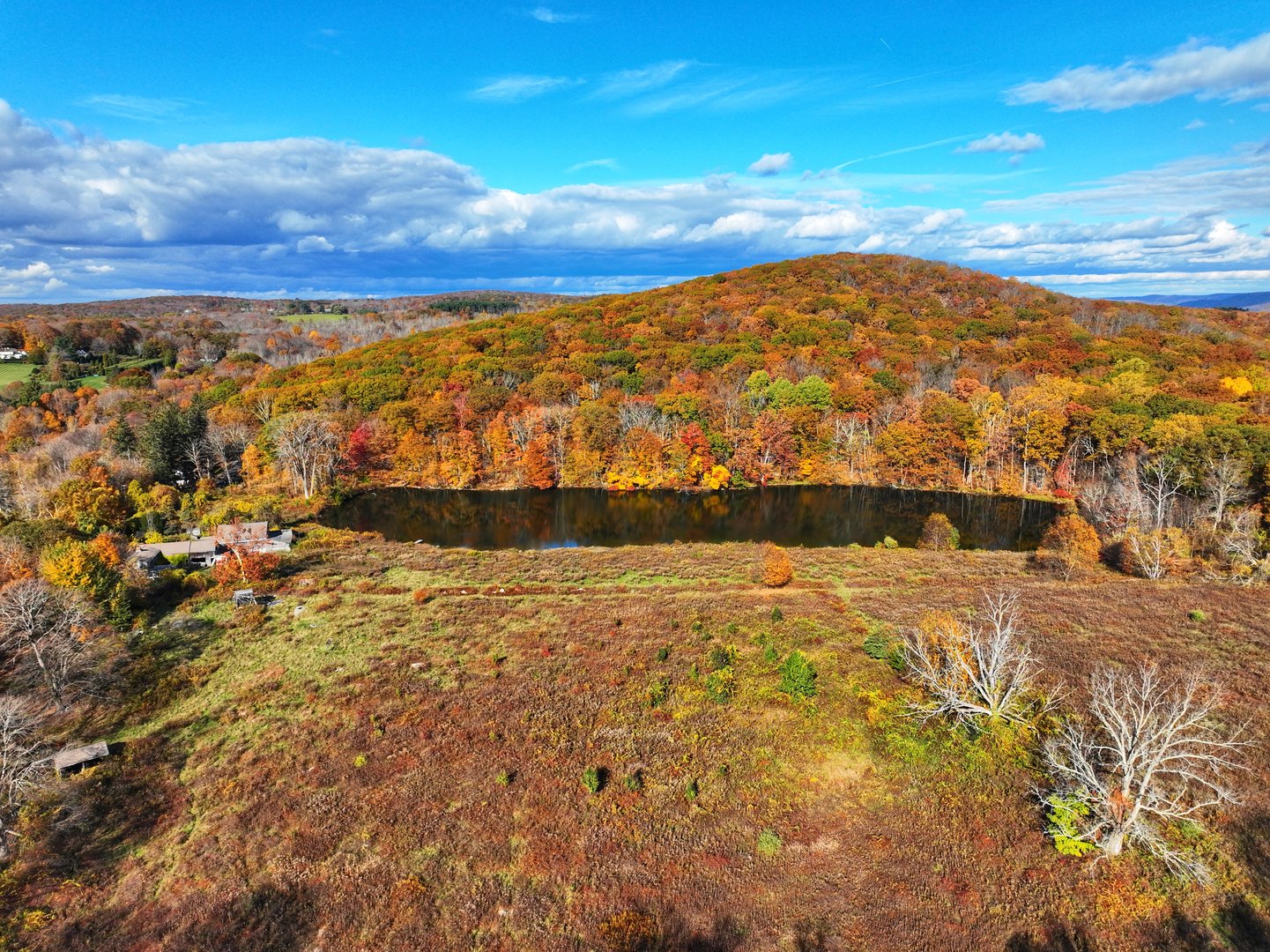 308 Skiff Mountain Road Photo 2