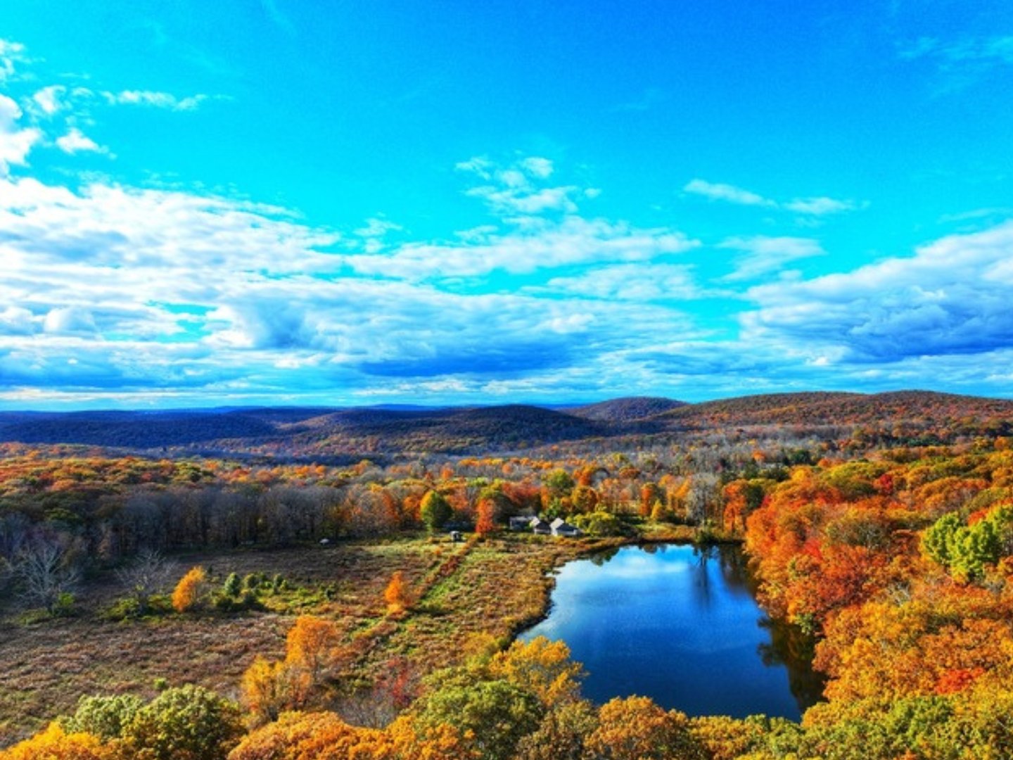 308 Skiff Mountain Road Photo 3