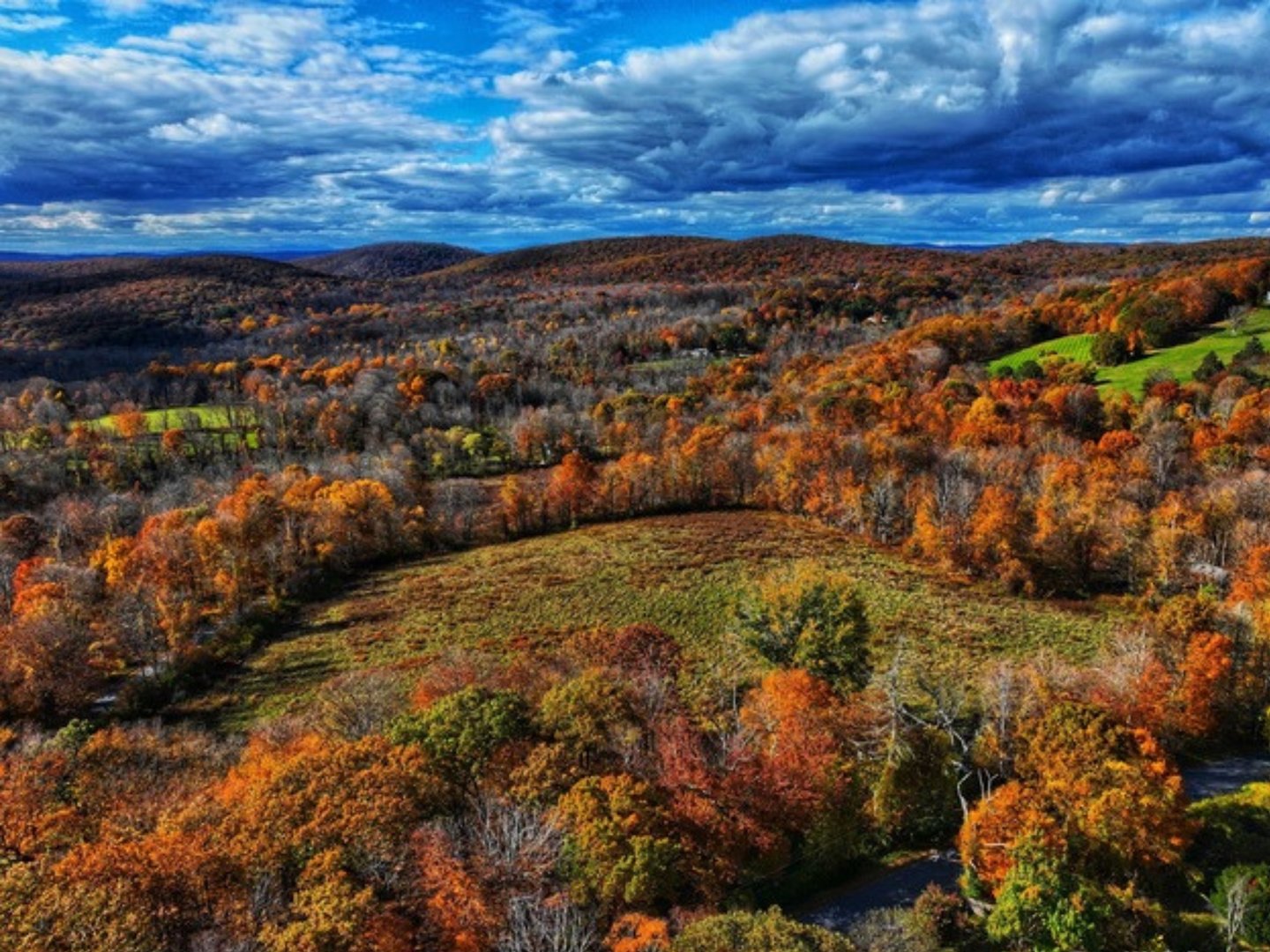 308 Skiff Mountain Road Photo 5