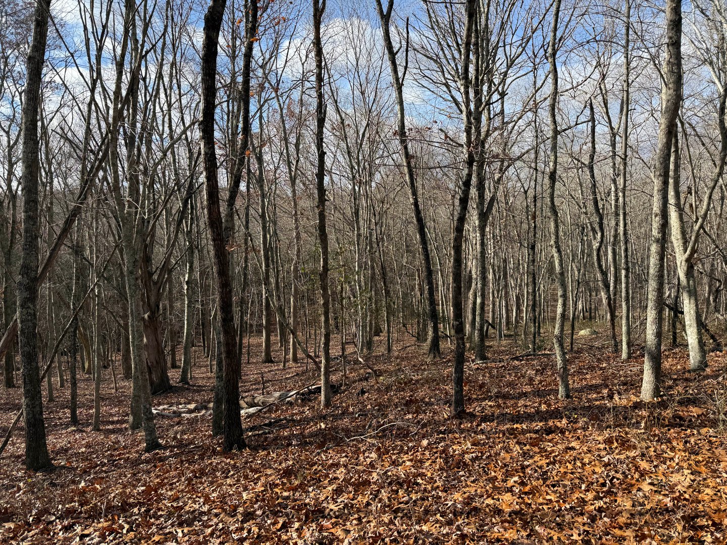 Chesterfield Road Photo 3