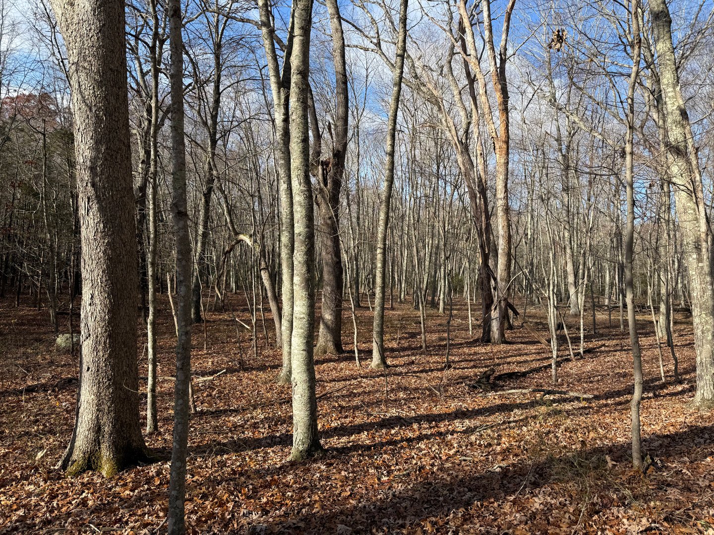 Chesterfield Road Photo 4