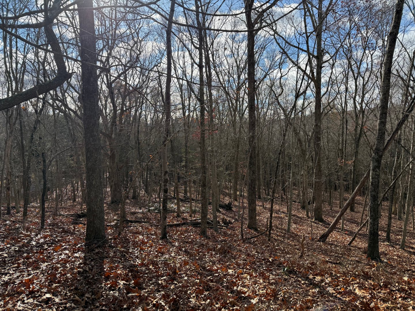 Chesterfield Road Photo 5