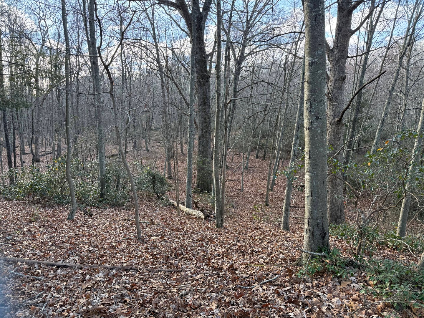 Chesterfield Road Photo 6