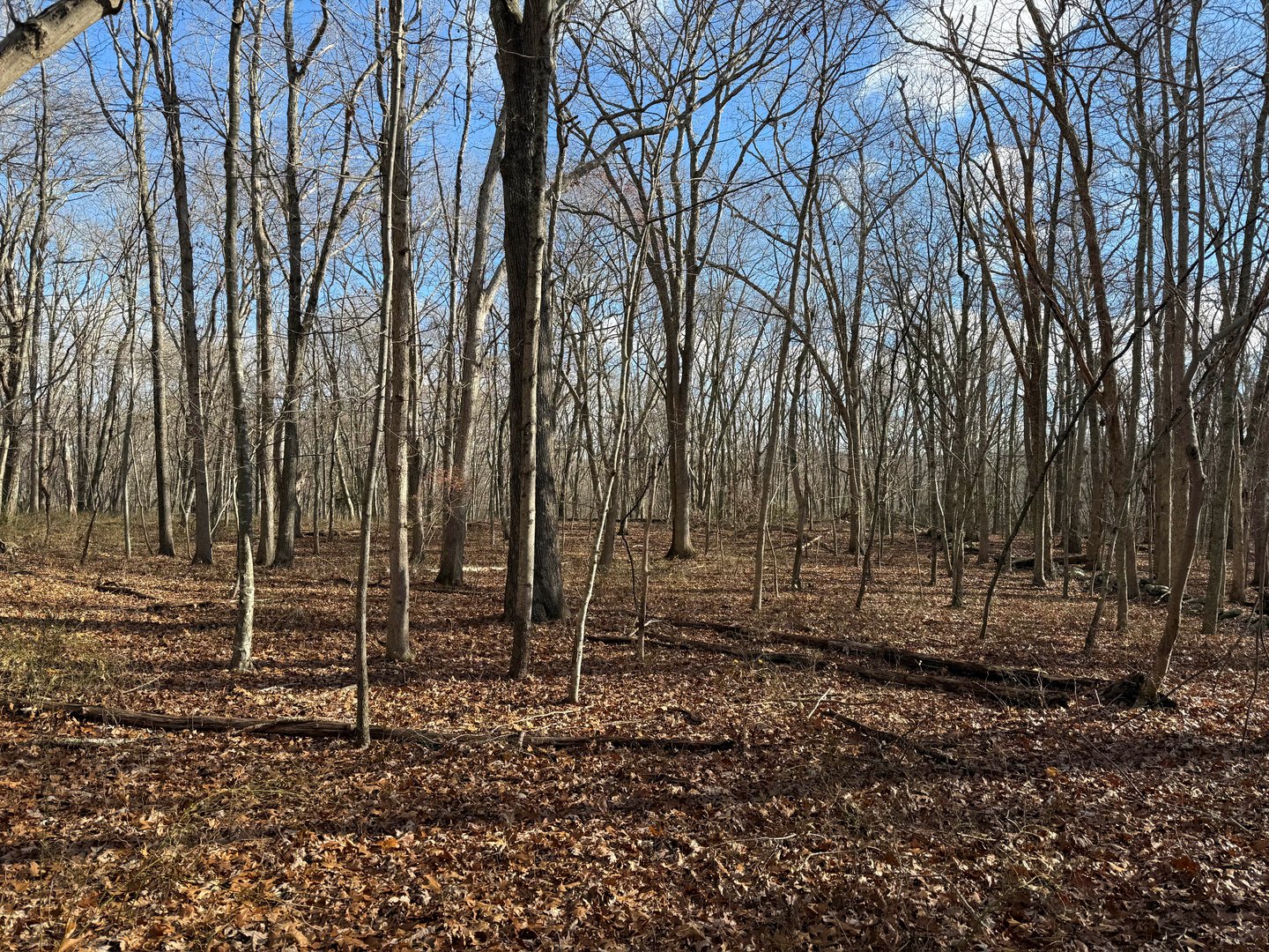 Chesterfield Road Photo 9