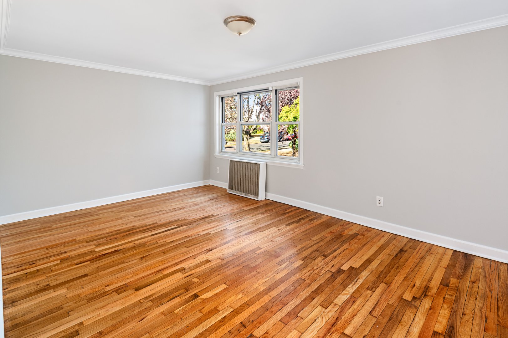 23 Standish Road  #APT 2 Photo 4