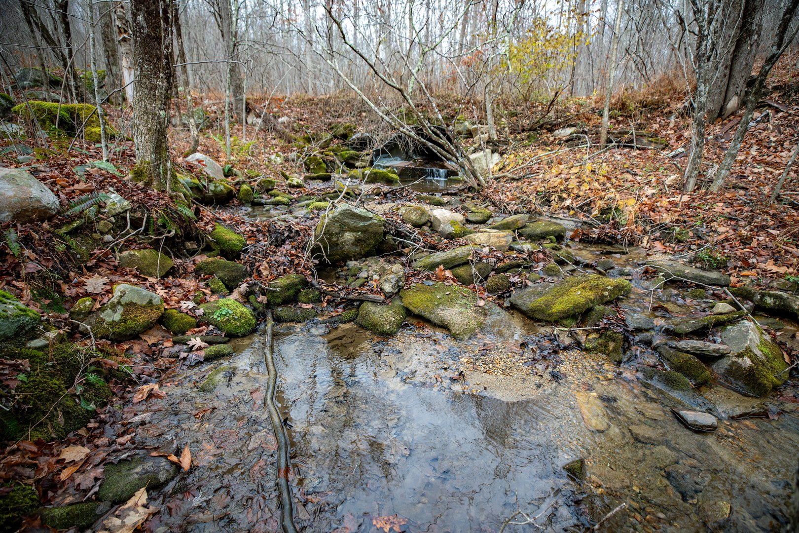 Swaller Hill Road Photo 18