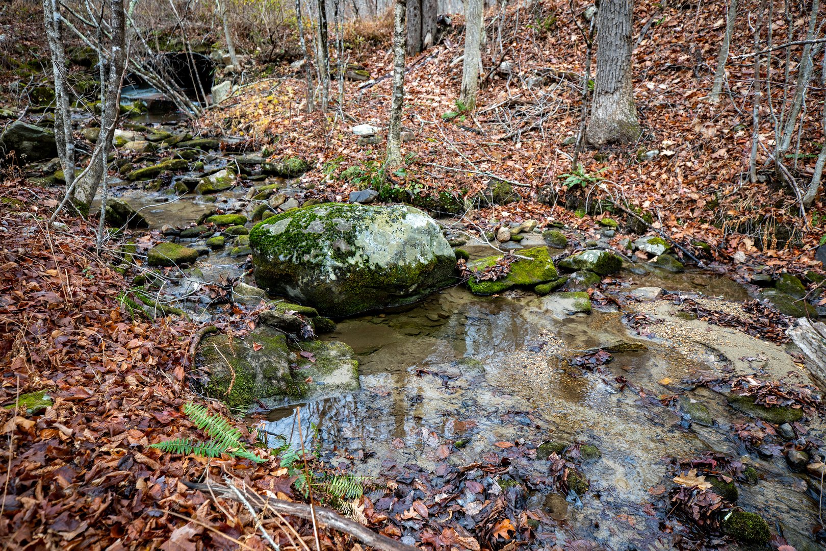 Swaller Hill Road Photo 19