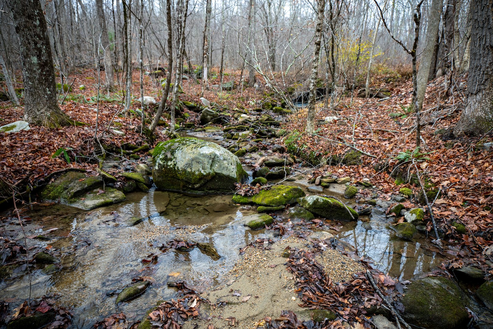 Swaller Hill Road Photo 20