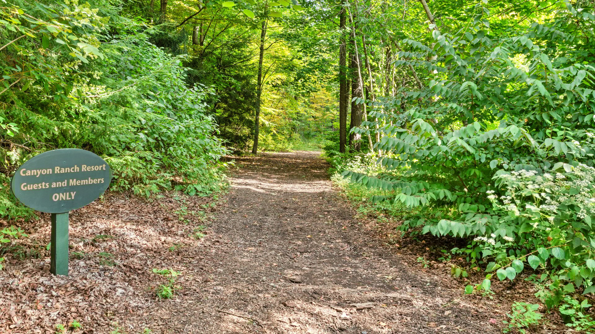 1 Pinecroft Dr Photo 56