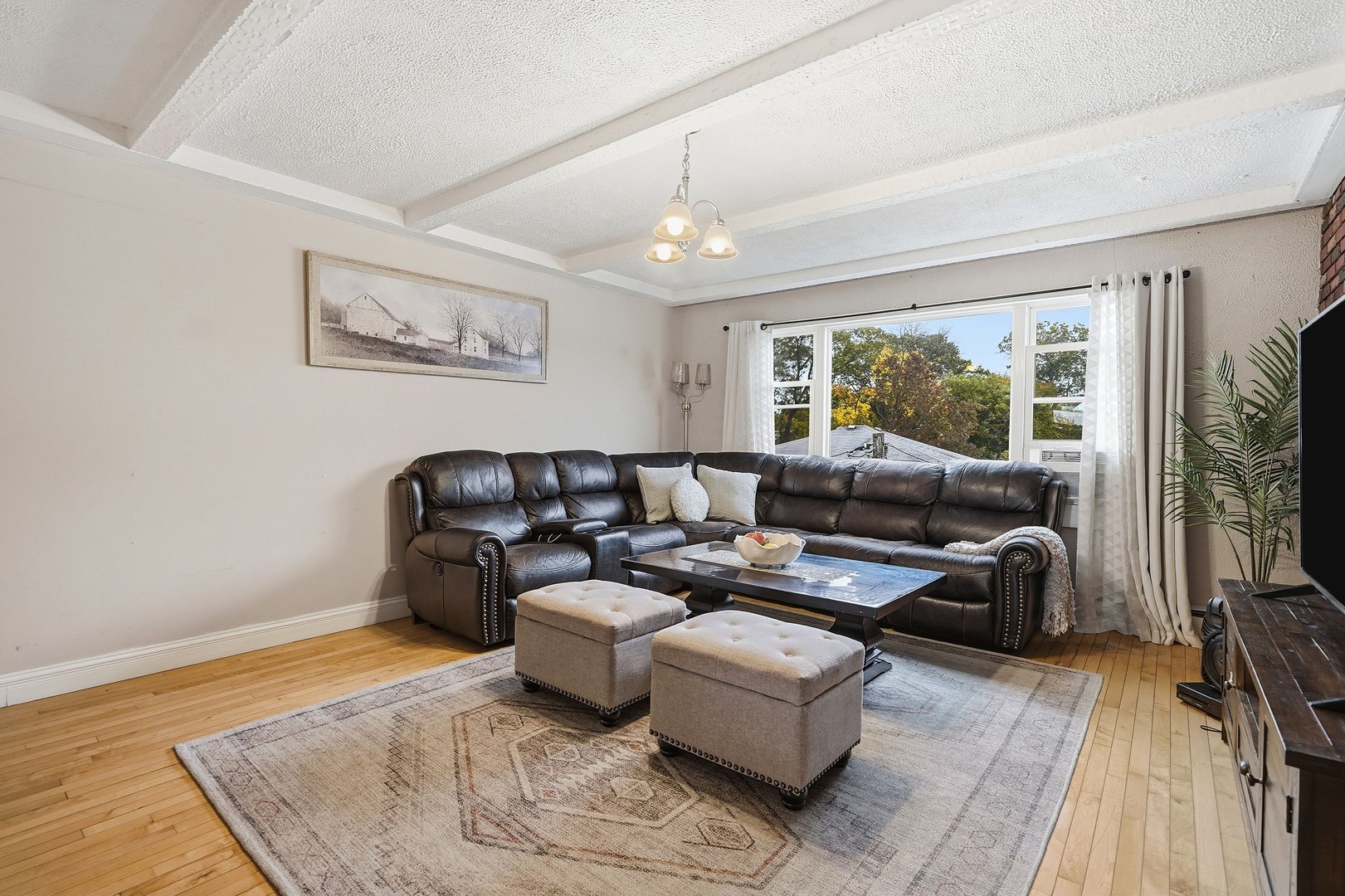 8 Elicar Terrace Photo 5