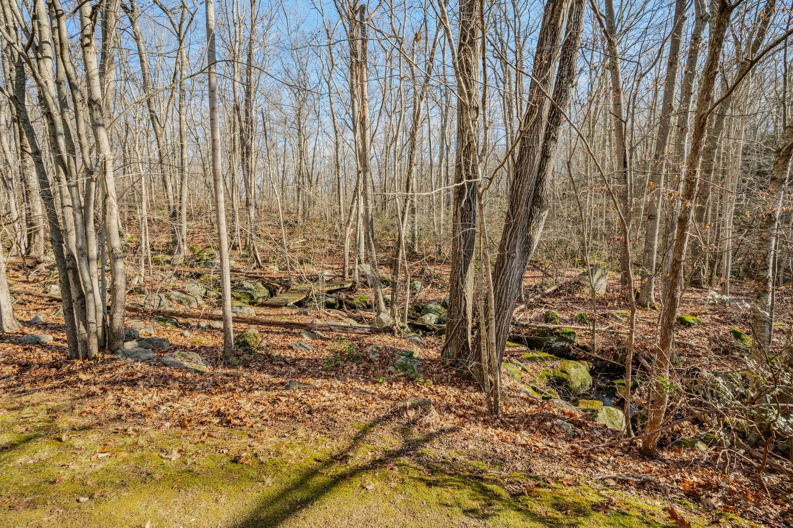 97 West Main Street  #Apt 24 Photo 39