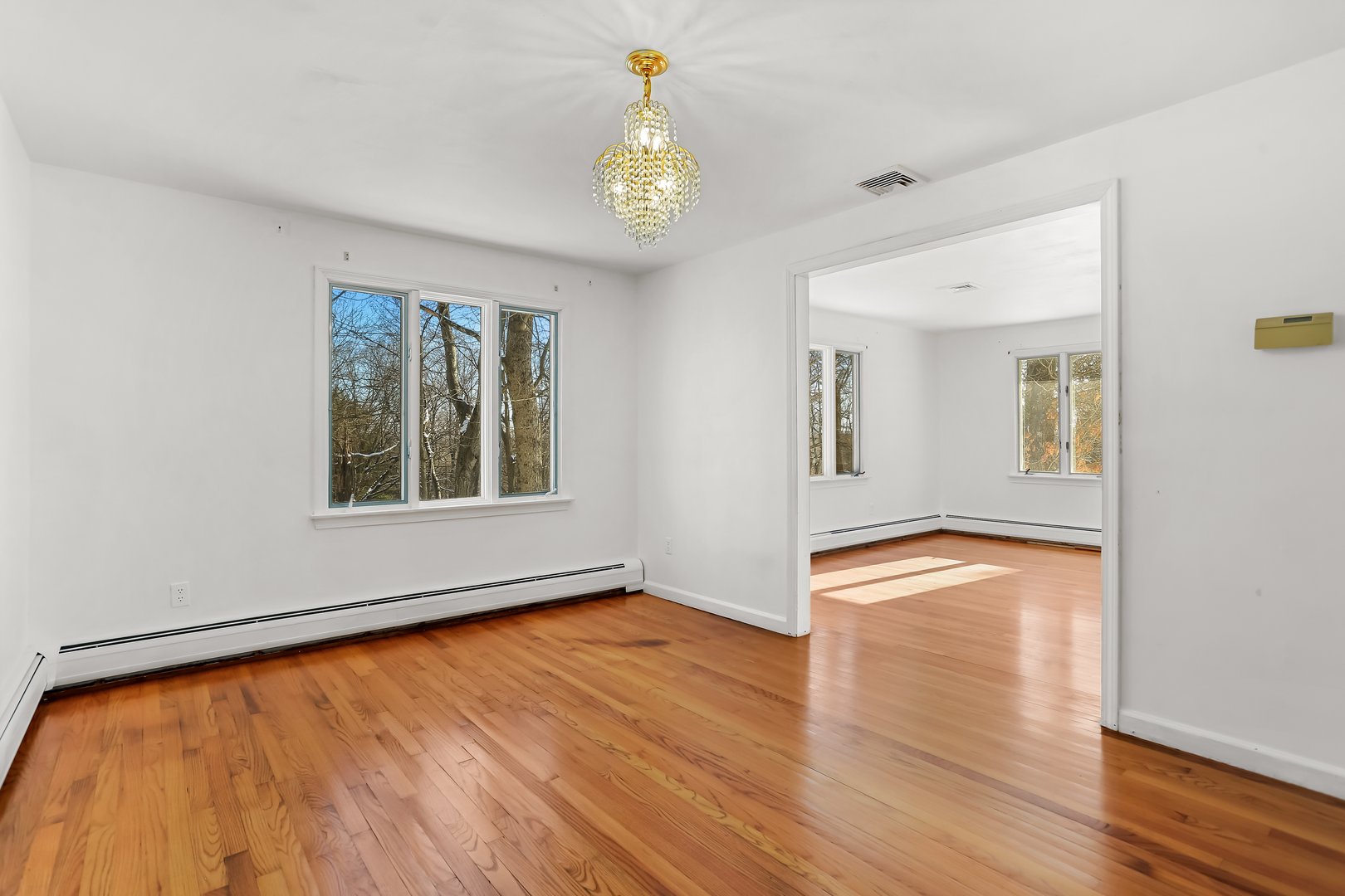 37 Kitcher Court Photo 7