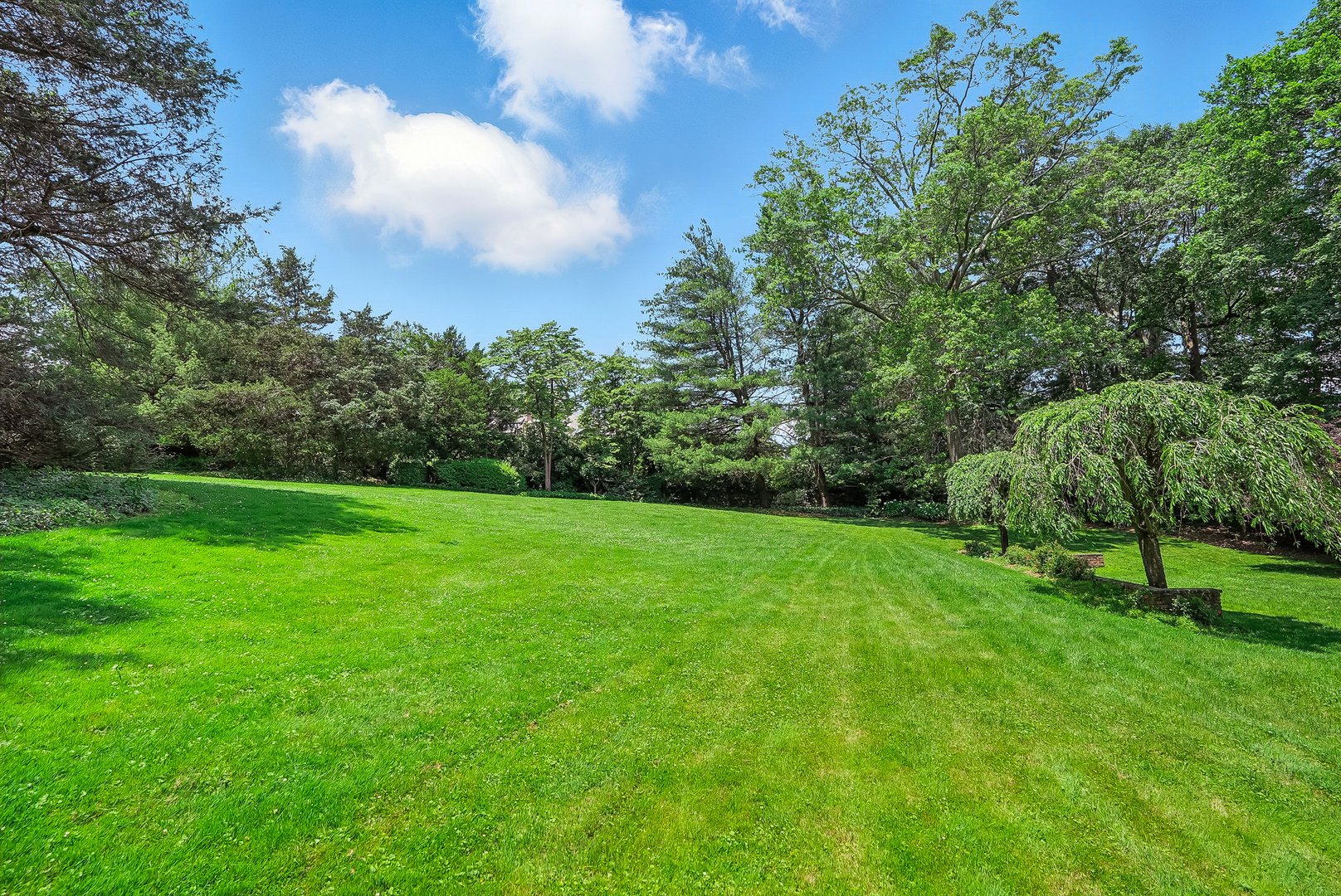 6 Club Road Photo 22