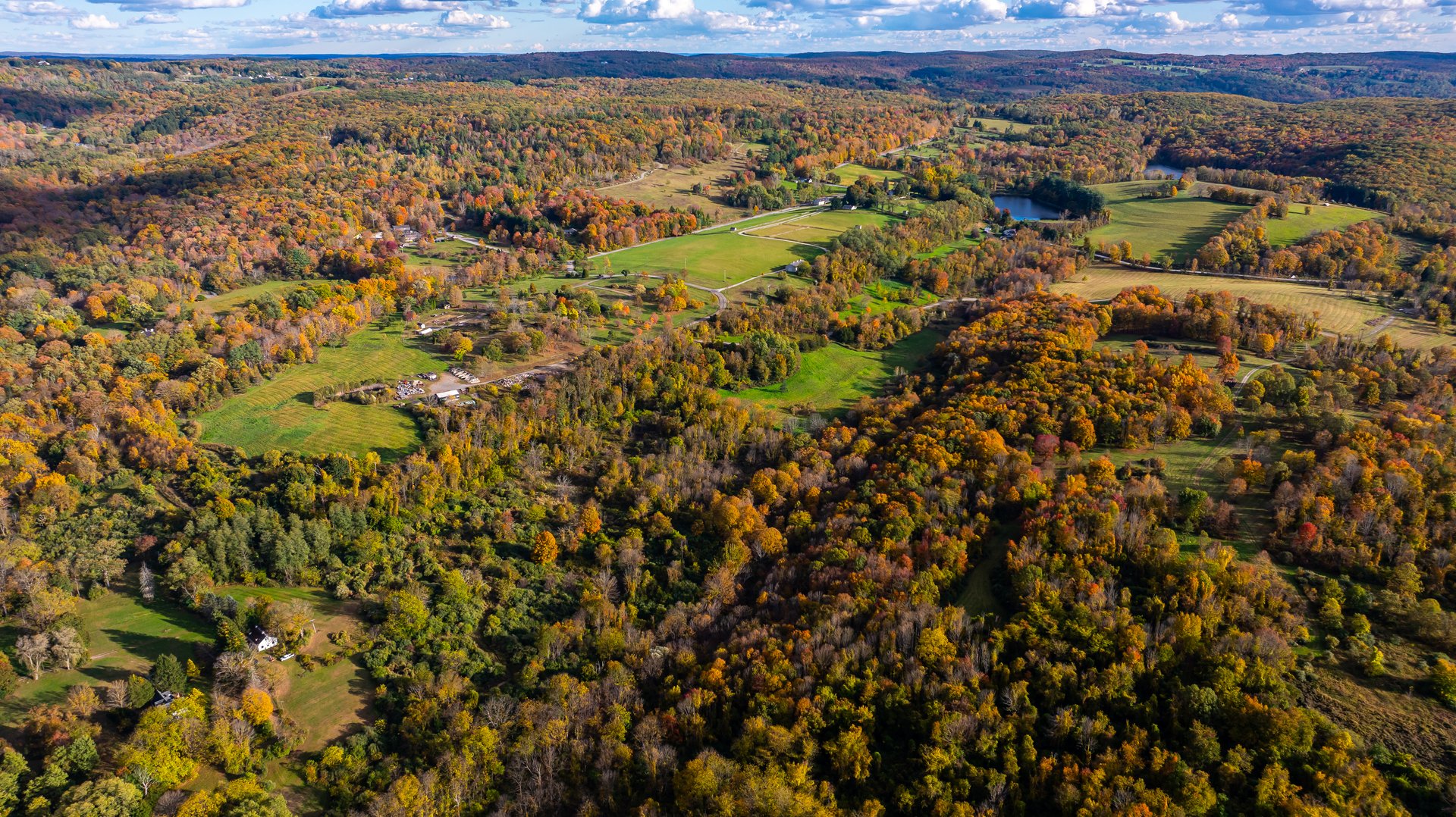 104 North Garden Drive Photo 7