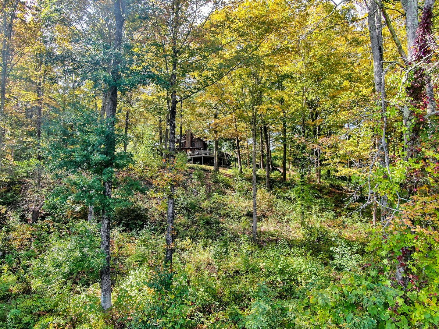 104 North Garden Drive Photo 35