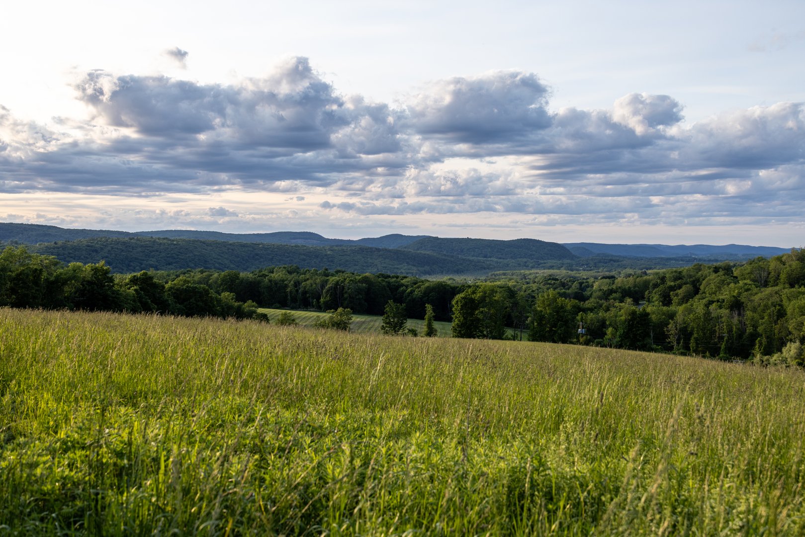 104 North Garden Drive Photo 44