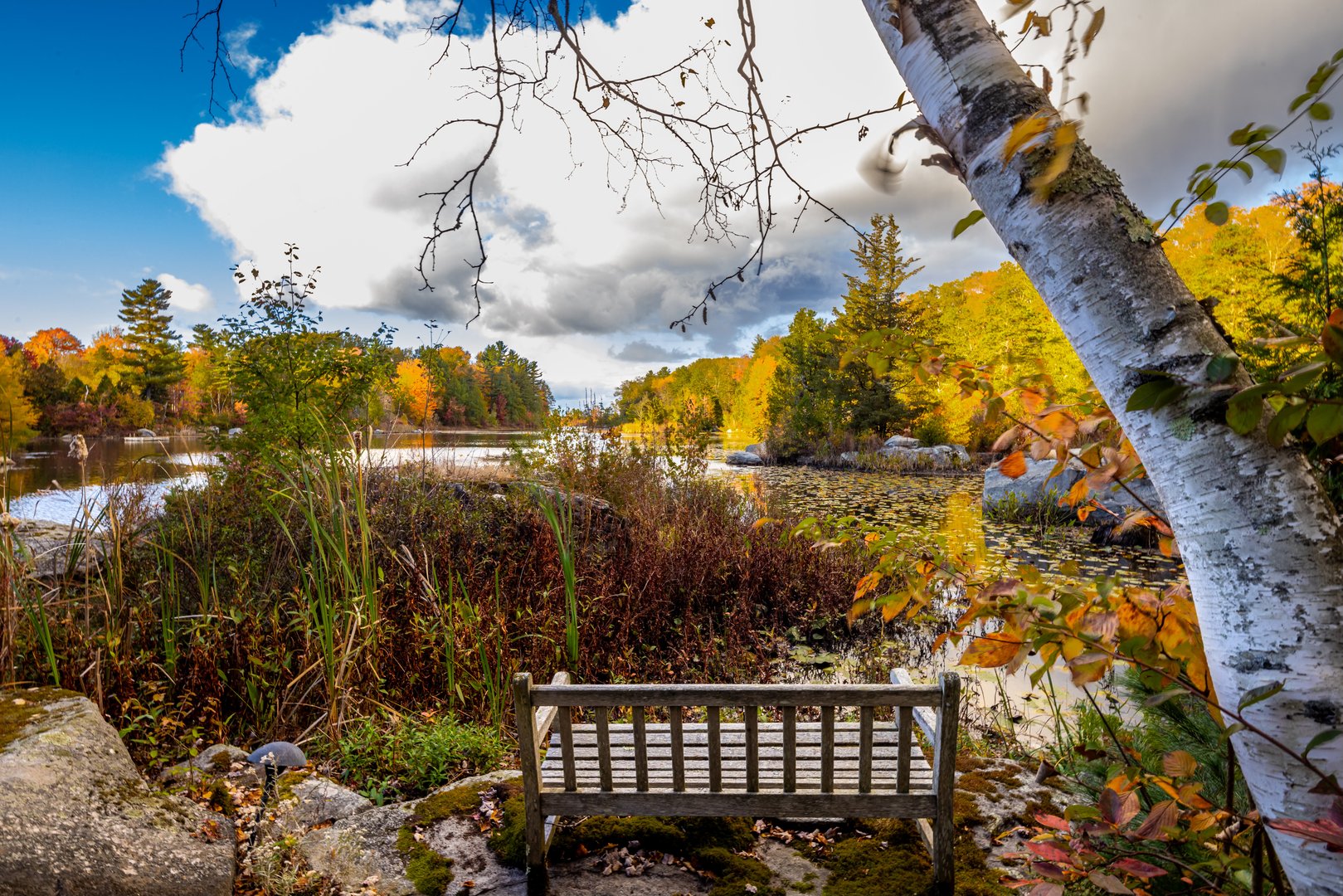 104 North Garden Drive Photo 11