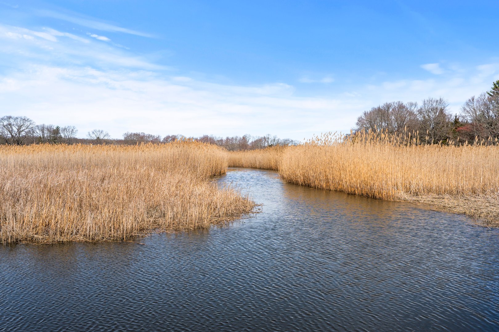 60 Lyme Street Photo 34