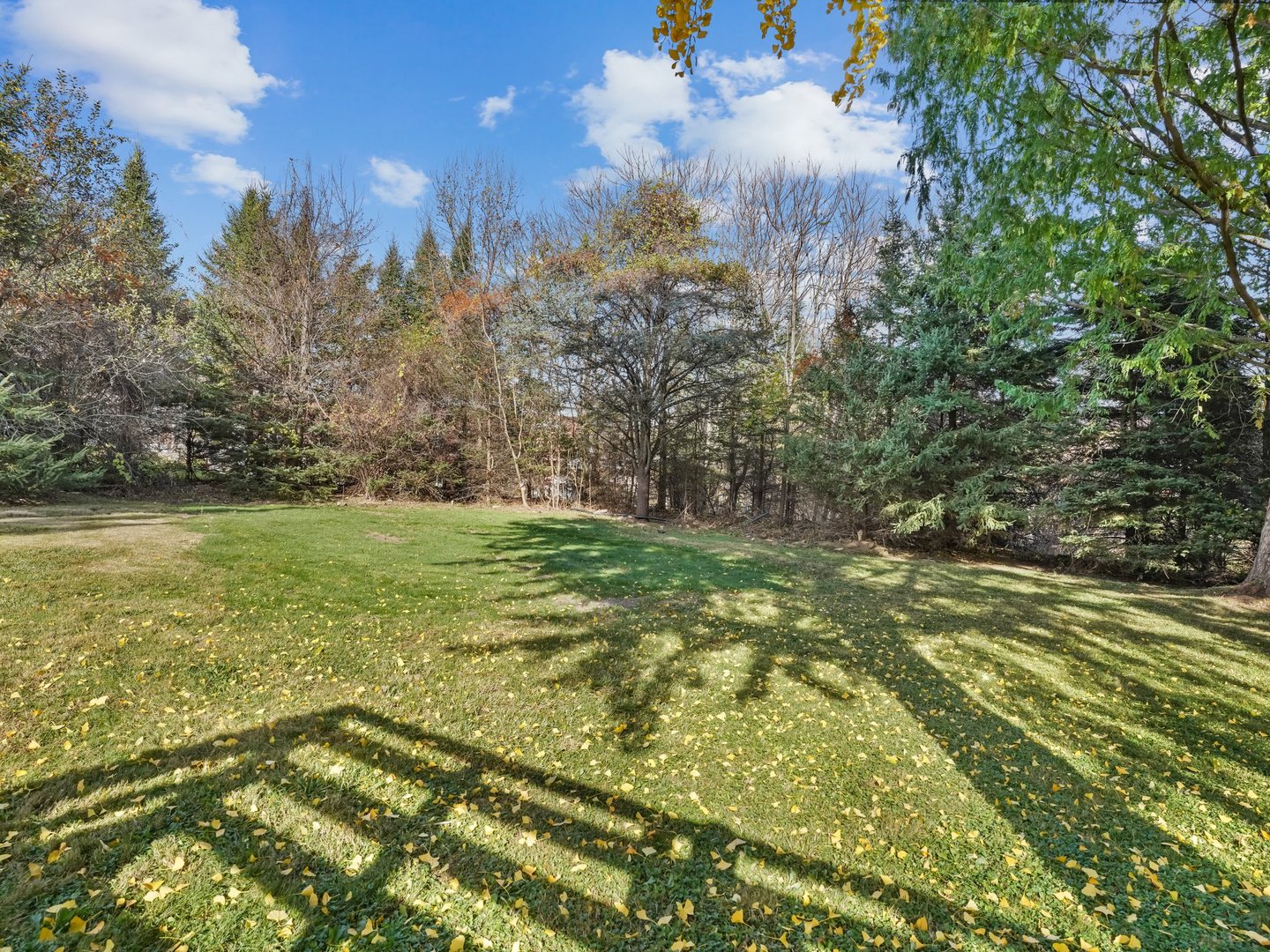 488 Sport Hill Road Photo 22