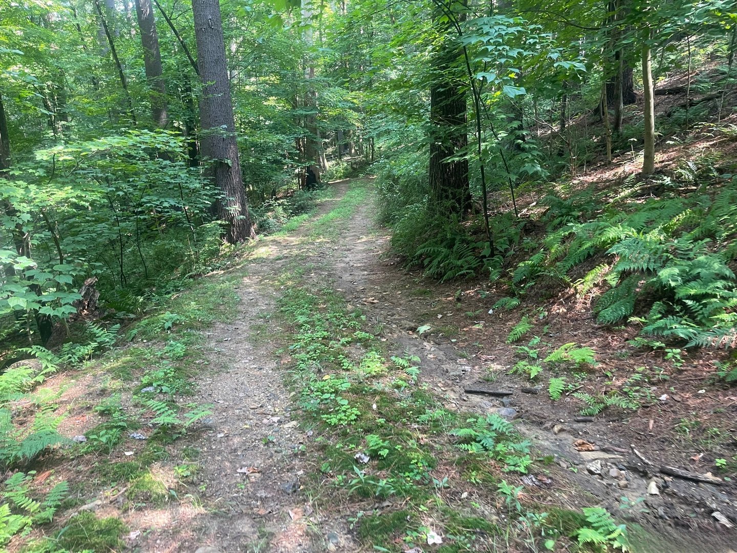 Railroad Street Photo 3