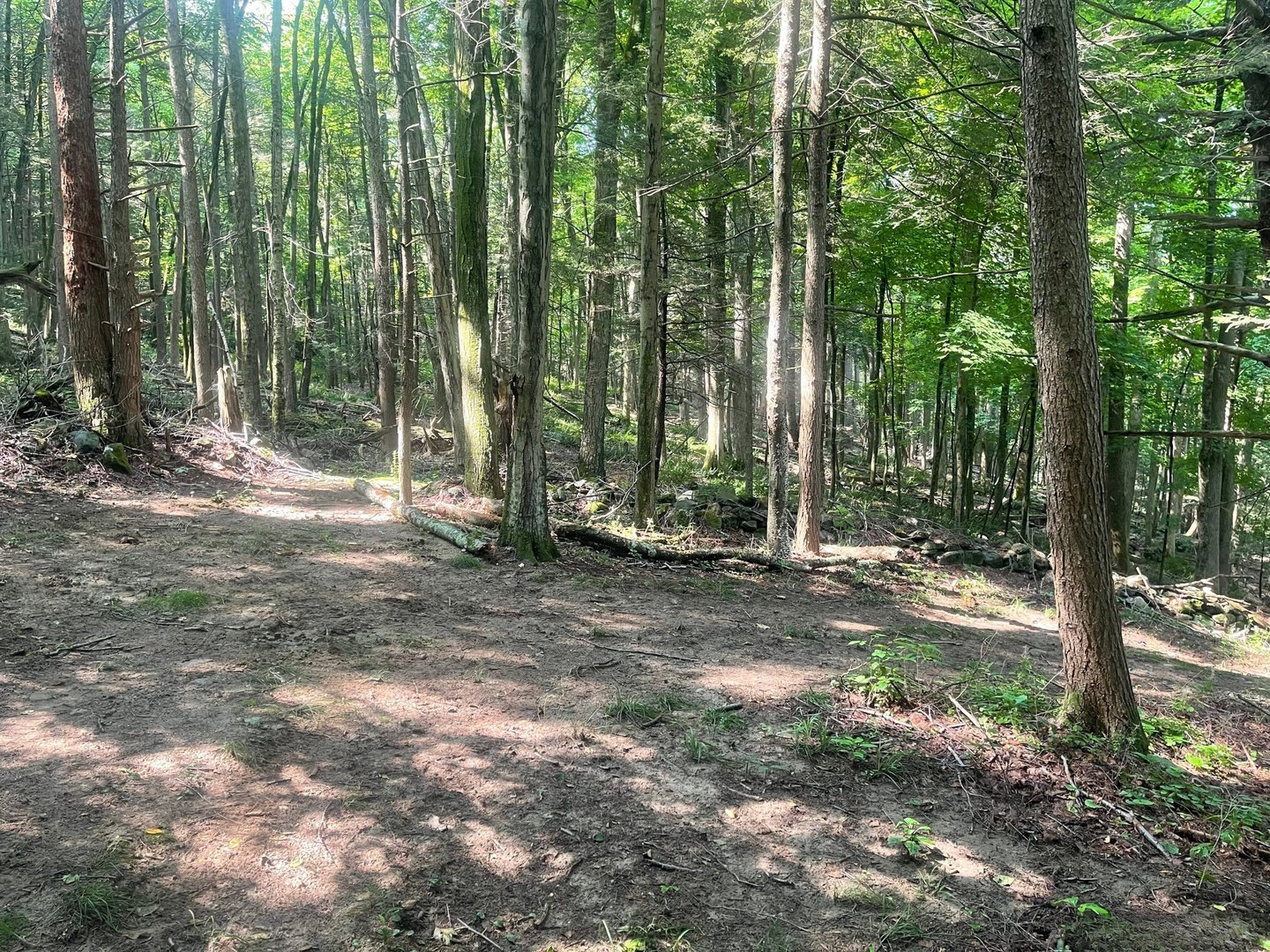 Railroad Street Photo 5