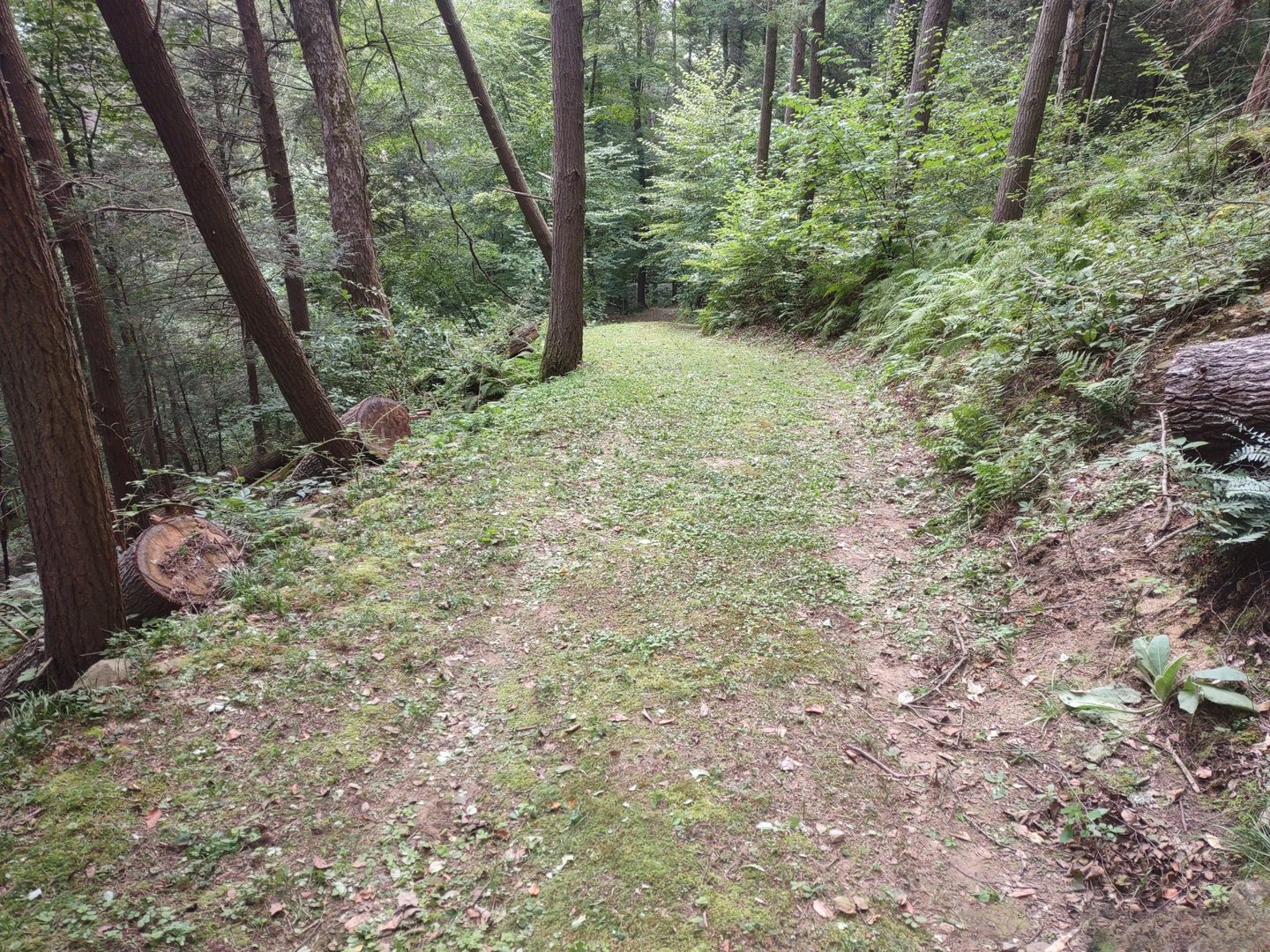 Railroad Street Photo 6