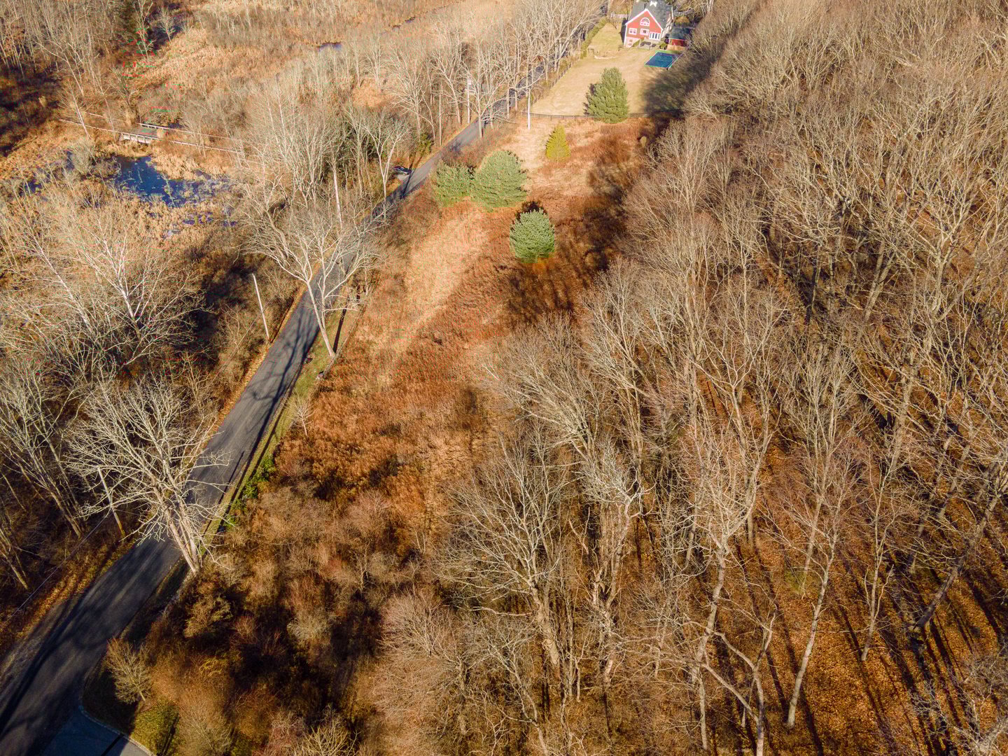 10 Sarles Street Photo 7