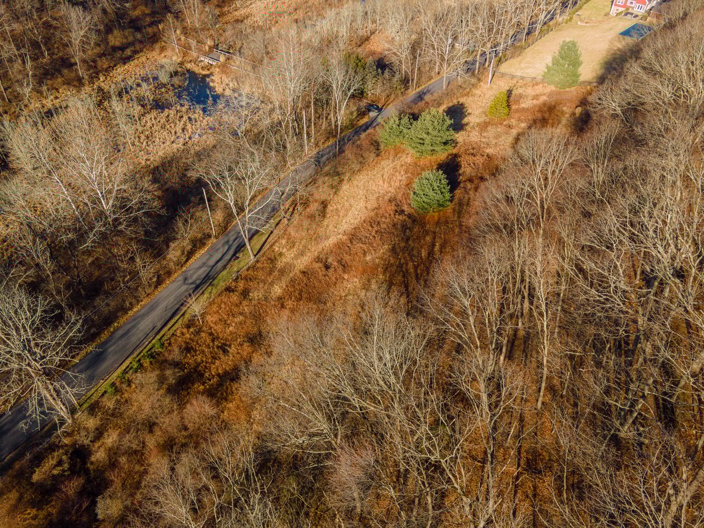 10 Sarles Street Photo 6