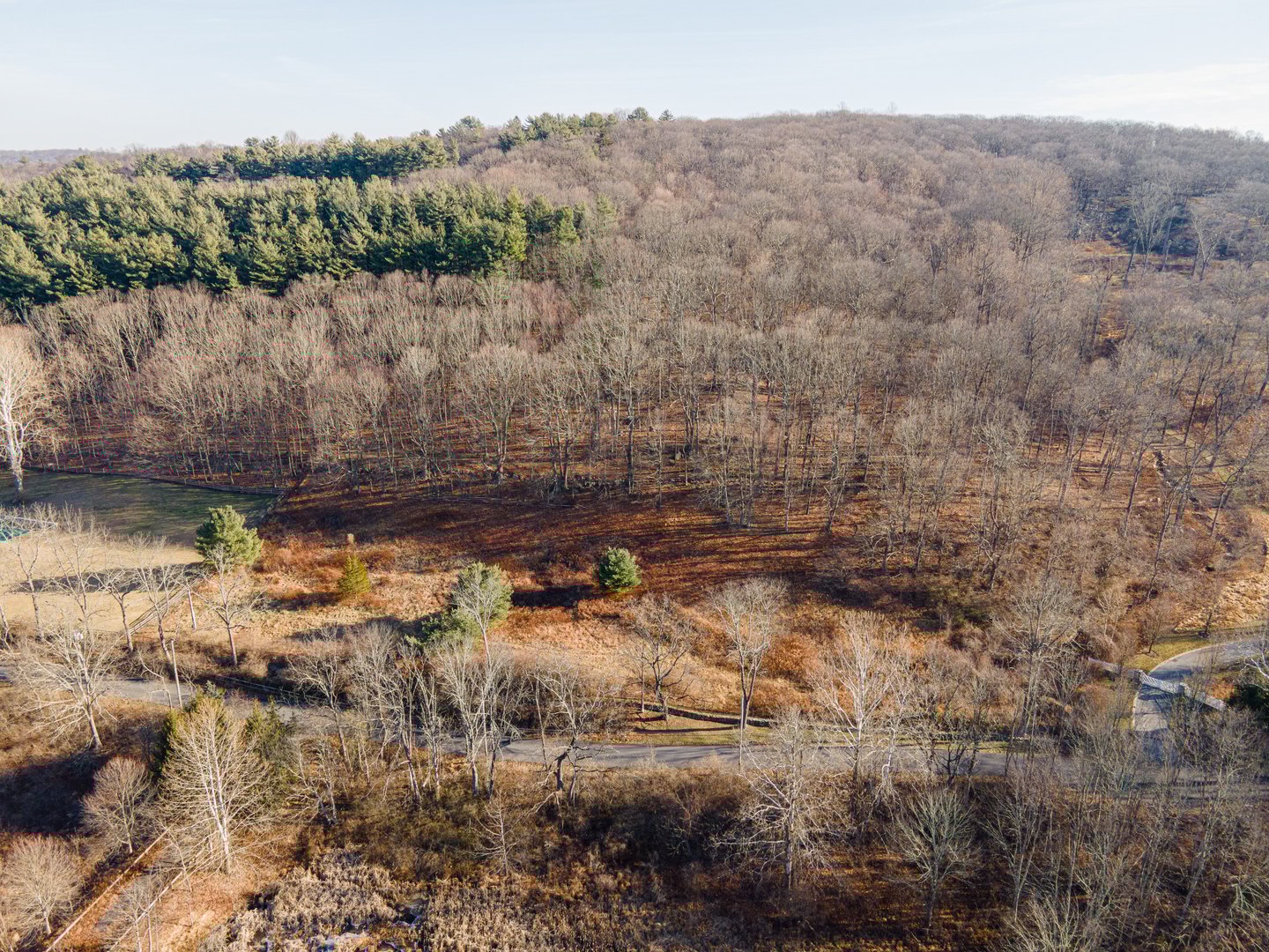 10 Sarles Street Photo 11