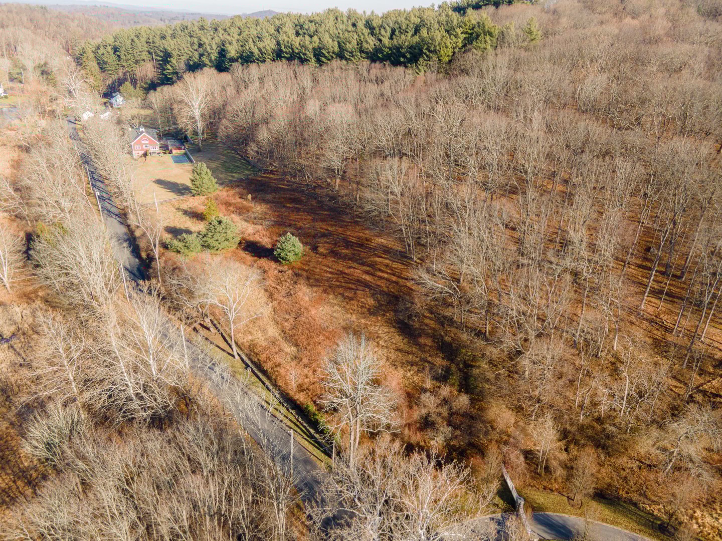 10 Sarles Street Photo 9