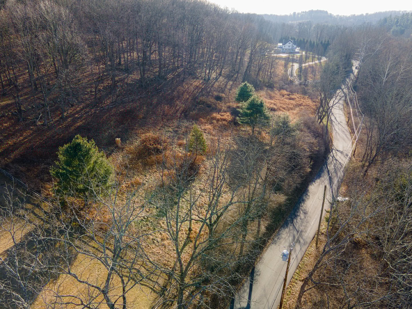 10 Sarles Street Photo 1