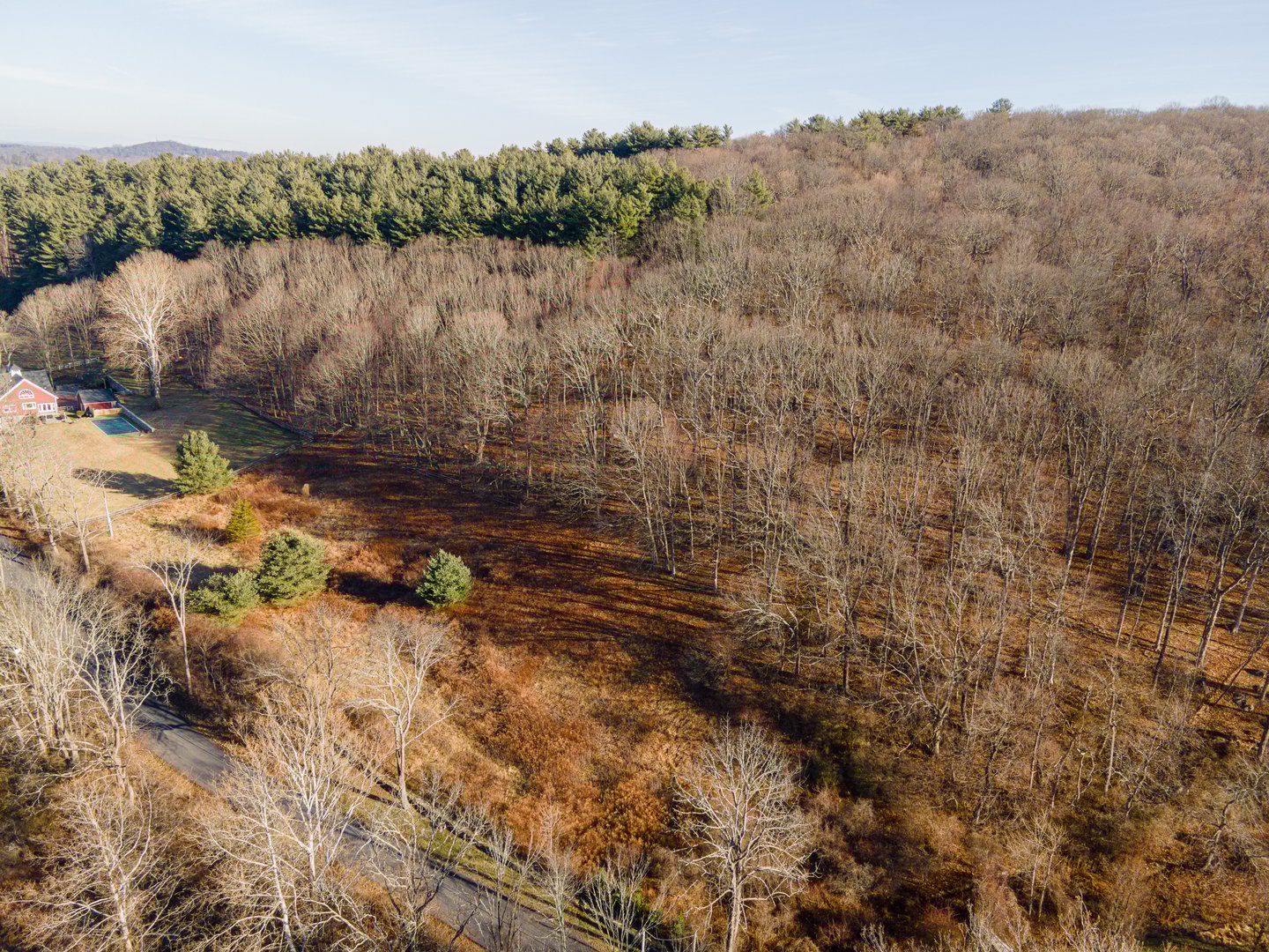 10 Sarles Street Photo 5