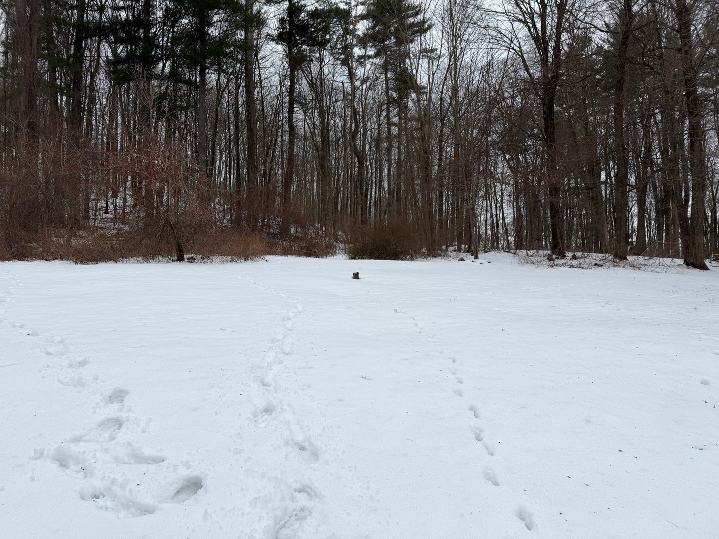 72 Johnson Road Photo 21