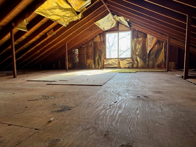 7 Mcallister Avenue  #2 Photo 24